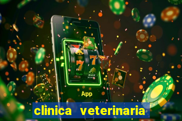 clinica veterinaria cuidar betim